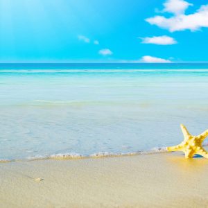 10-star-fish-sea-beach-sand-wallpaper